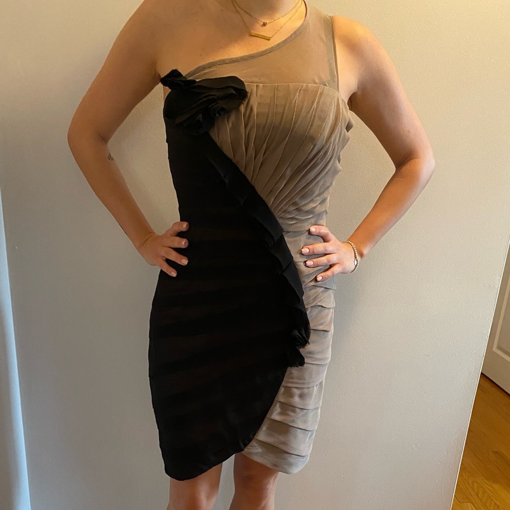 Max and Cleo, two tone dress